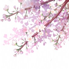 樱花花朵枝头夏季海报紫色素材