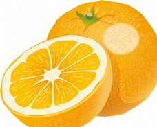 卡通菠萝矢量橙子