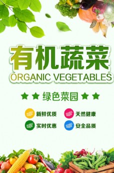 绿色蔬菜有机蔬菜