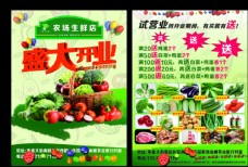 蔬菜水果水果生鲜蔬菜超市开业活动彩页