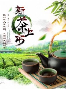中华文化新茶上市