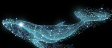 星光鲸鱼星空光点科技插画远航