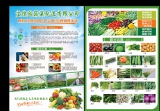 蔬果海报蔬菜配送单页