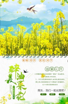 春季活动海报油菜花