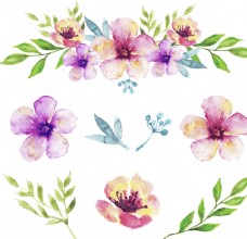 茶花卉卡片