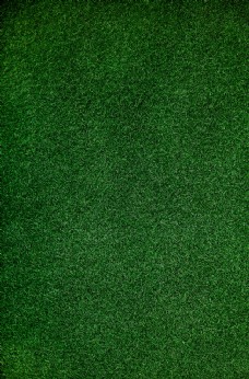 绿色草坪纹理球场俯视图背景