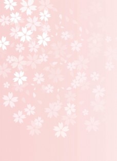 日系淡粉色樱花背景