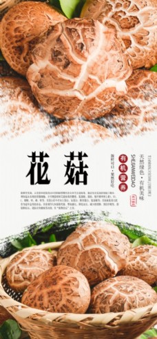 绿色蔬菜花菇海报