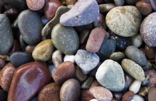 散步鹅卵石卵石石子