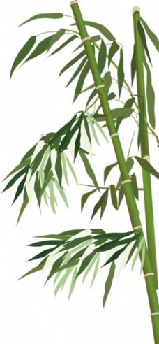 端午节装饰竹子