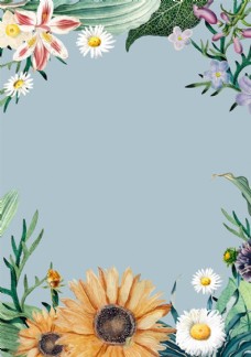 花纹背景花朵向日葵百合边框