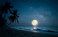日系月夜美景