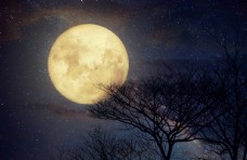 满月背景月夜美景