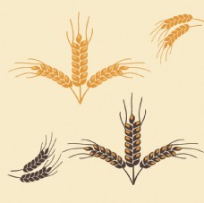 小麦麦穗图标