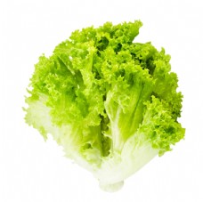 绿色蔬菜生菜