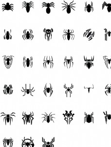 其他生物蜘蛛