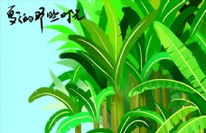 蕉树林