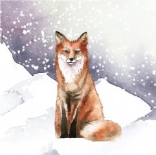 雪地里的狐狸