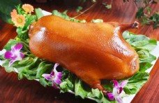 特写北京烤鸭