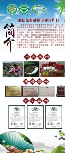 中华文化茶叶展架