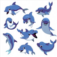 其他生物海豚
