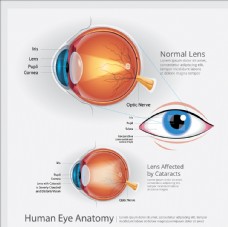 眼睛视网膜