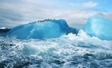 南极冰山海浪