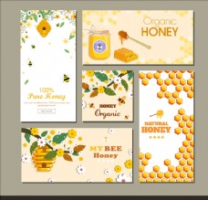 画册设计蜂蜜