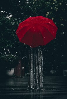雨花雨伞花伞遮阳伞太阳伞