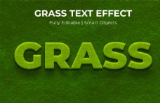 字体模板字体样式草坪浮雕效果