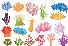 贝壳珊瑚