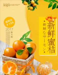 有机水果橘子海报