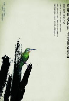 中国风山水花鸟