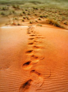 高清脚印设计金色沙漠脚印