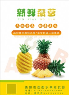 玉器001新鲜菠萝