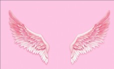 唯美粉色天使翅膀