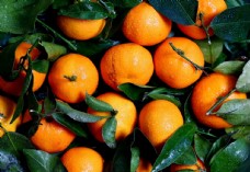 果蔬干果橘子柑橘橙子桔子