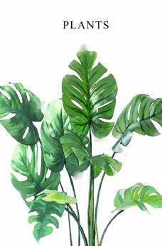绿背景水彩北欧绿植现代简约手绘装饰画