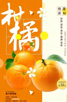 果蔬系列柑橘