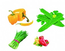 苦瓜蔬菜素材分层