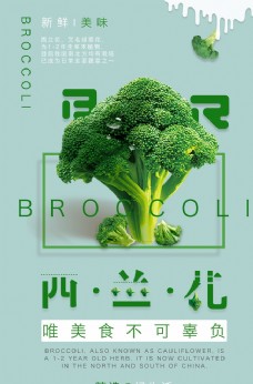 绿色蔬菜西兰花蔬菜海报