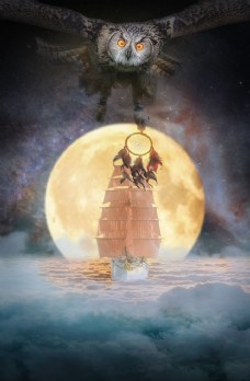 满月背景卡通猫头鹰月亮