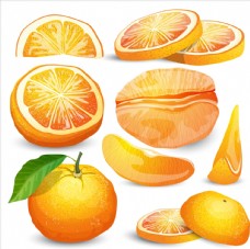 画册设计橘子