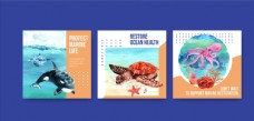海洋动物卡片