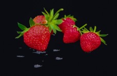 草莓 背景