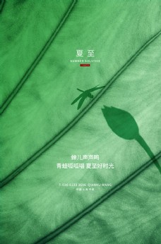 夏至树叶蜻蜓绿色创意海报
