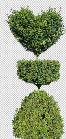 荷花绿色树木植物素材