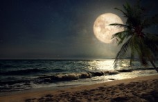 风景桌面海边月球月亮