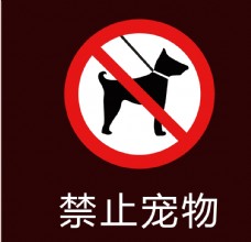 宠物狗禁止养狗宠物