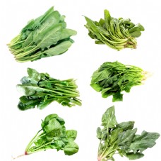 绿色蔬菜菠菜